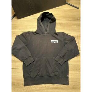 Levis Mens Standard Fit Hoodie Black Batwing Logo Mountain Back Graphic Small